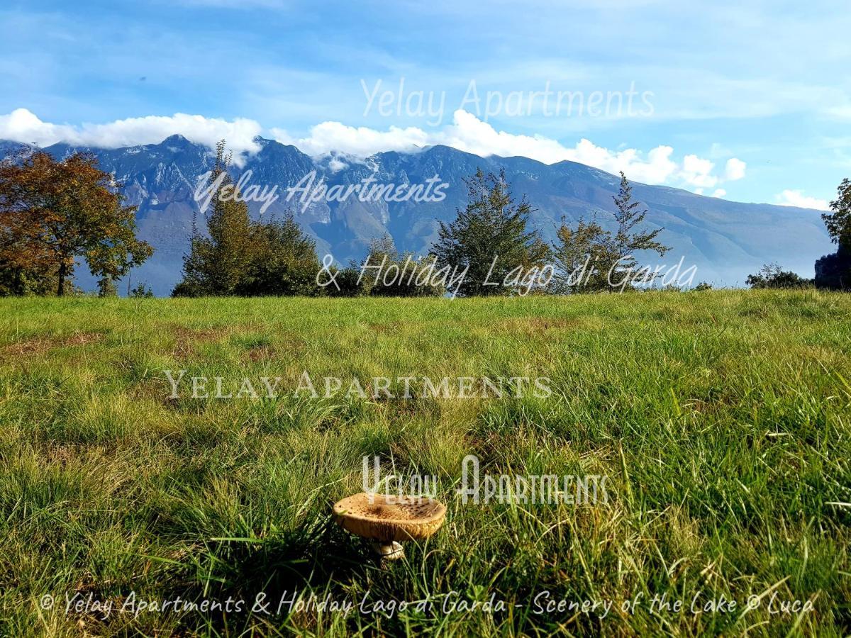 Yelay Apartments & Holiday Lago Di Garda Raffa Exteriér fotografie